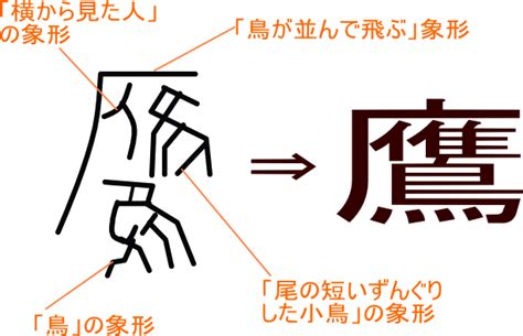 鳥啄|「啄」という漢字の意味・成り立ち・読み方・画数・部首を学習